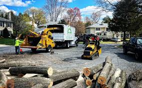 Organic Lawn Care Solutions in East Ithaca, NY
