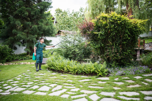 How Our Tree Care Process Works  in  East Ithaca, NY